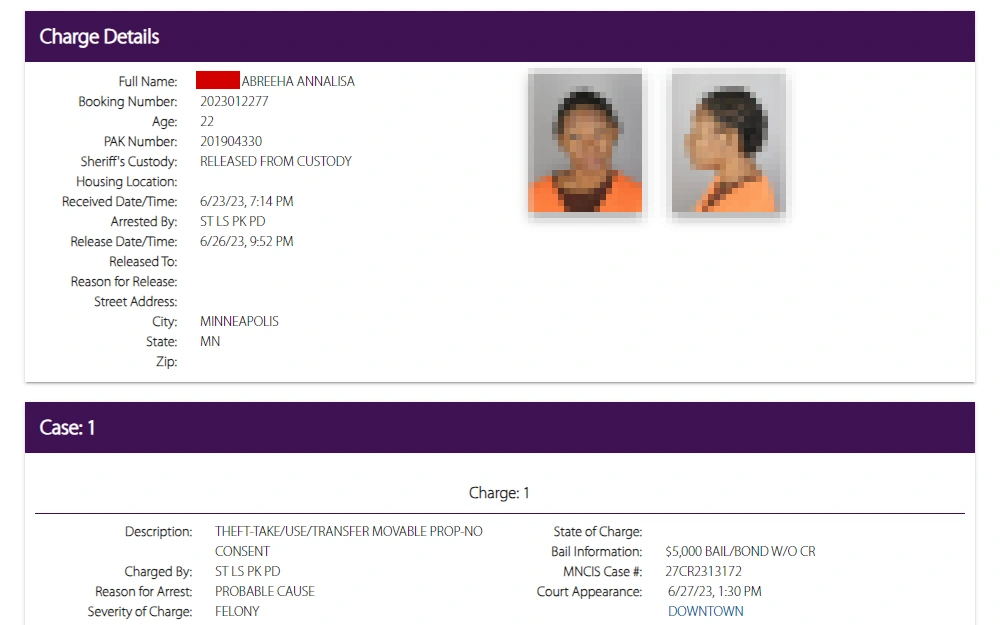 An image showing the results from an inmate search on Hennepin County Sheriff's page contains inmates' charge details such as mugshots, full name, booking number, age, and case information.